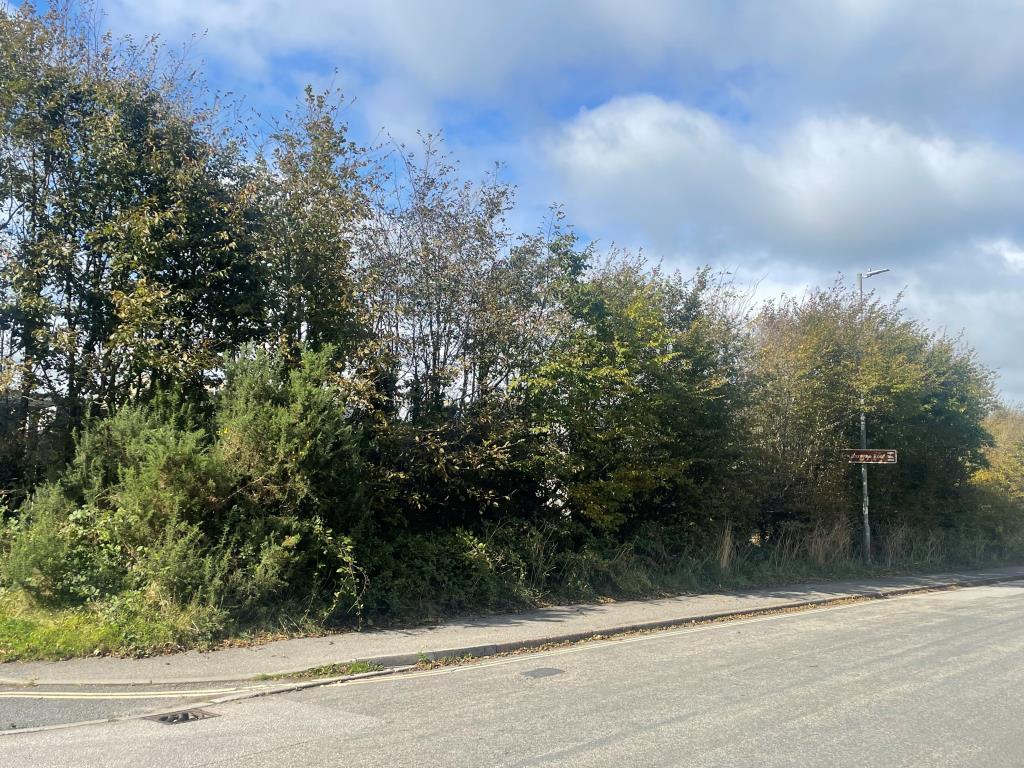 Lot: 104 - FREEHOLD LAND - Area of overgrown land